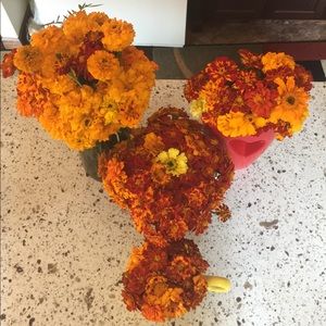 Meet your Posher, Jenise